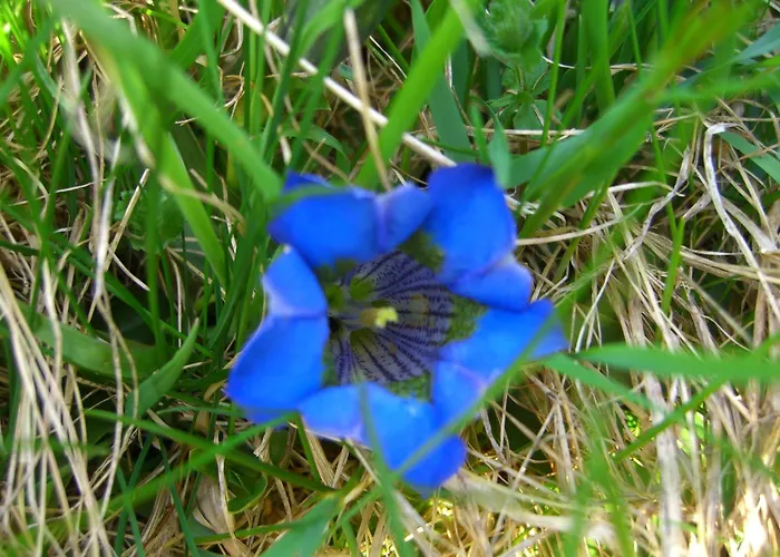 Penzion Valluela Galtür